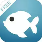 Free play online Free POF Dating Tips APK