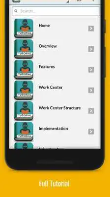 Play Free SAP Solman Tutorial