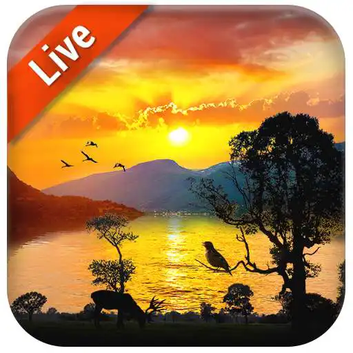Free play online Free Sunrise Live Wallpaper APK