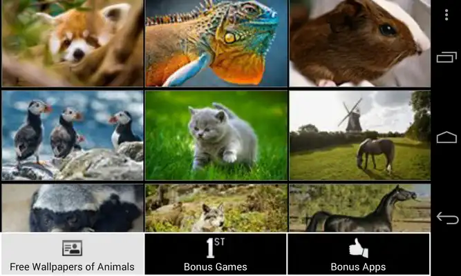 Play Free Wallpapers of Animals HD Play Free Wallpapers of Animals HD