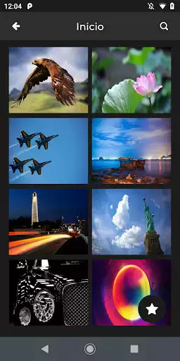 Play Free Wallpapers Play Free Wallpapers