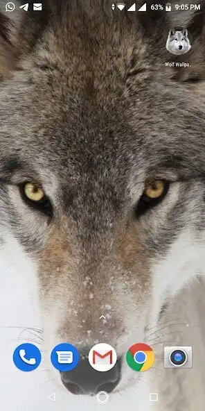 Play Free Wolf Wallpapers HD  and enjoy Free Wolf Wallpapers HD with UptoPlay