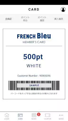 Play FRENCH Bleu MEMBERS