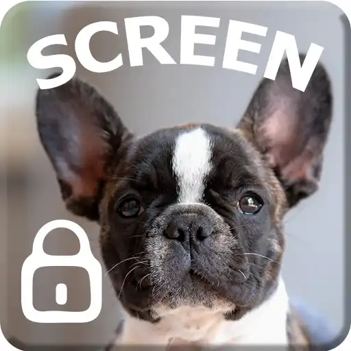 Play French Bulldog Puppy Pet Cute Screen Lock APK Play French Bulldog Puppy Pet Cute Screen Lock APK