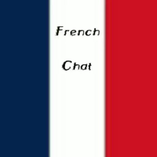 Free play online French Chat APK