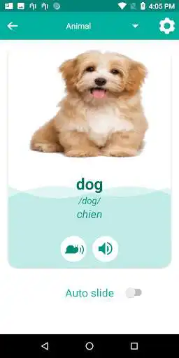 Play French English Translator & Flashcard as an online game French English Translator & Flashcard with UptoPlay