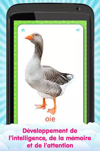 Play French Flashcards for Kids as an online game French Flashcards for Kids with UptoPlay