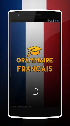 Play French Grammar