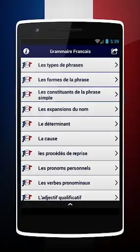 Play French Grammar