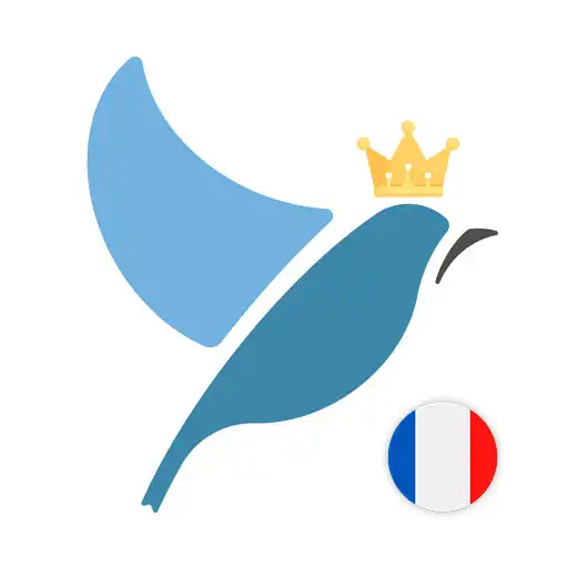 Play French Language Tests APK