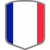 Free play online French League 18/19 APK