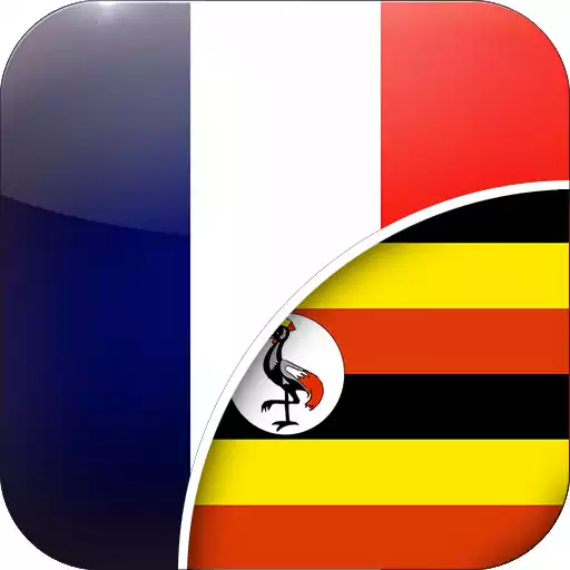 Play French Swahili  translator APK