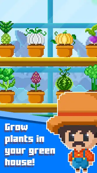 Play Fresbo Pixel Greenhouse Farmer  and enjoy Fresbo Pixel Greenhouse Farmer with UptoPlay