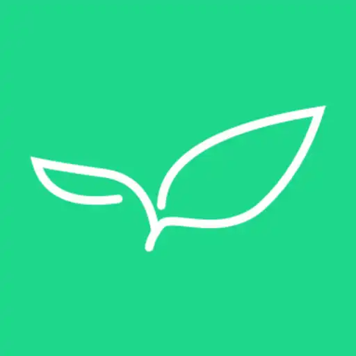 Play Fresh Choices APK Play Fresh Choices APK