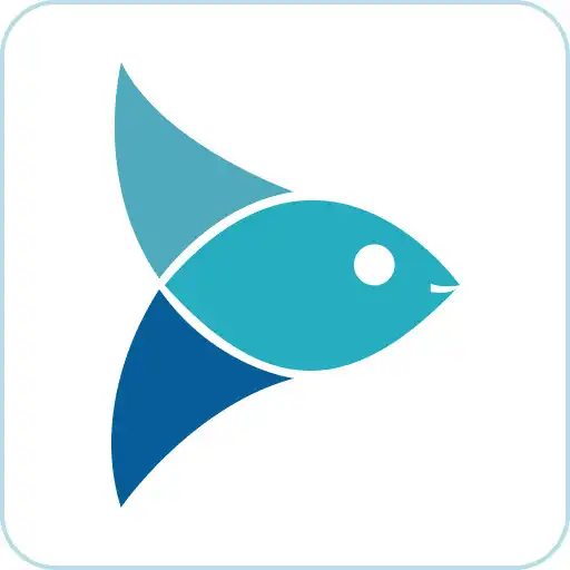 Play Fresh Fish Bazar APK
