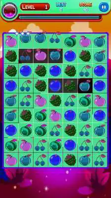 Play Fresh Fruit Match