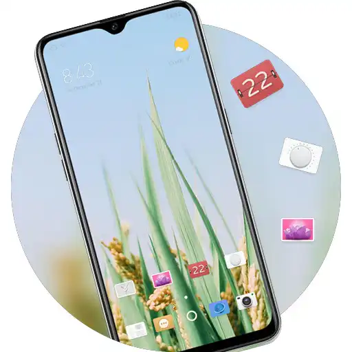 Play Fresh natural rice scenery theme APK