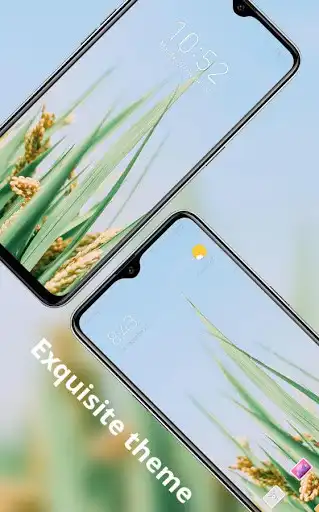 Play Fresh natural rice scenery theme  and enjoy Fresh natural rice scenery theme with UptoPlay