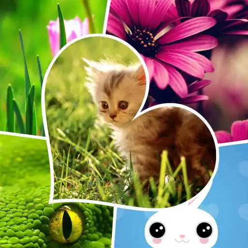 Free play online Fresh New Wallpapers  APK