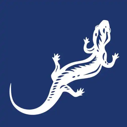 Play Freyberg High School APK