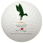 Free play online FR GC - Download other Version APK