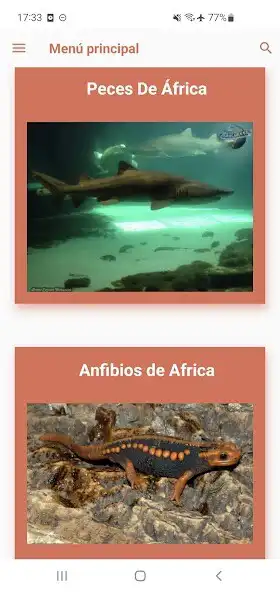 Play África. Animales raros as an online game África. Animales raros with UptoPlay
