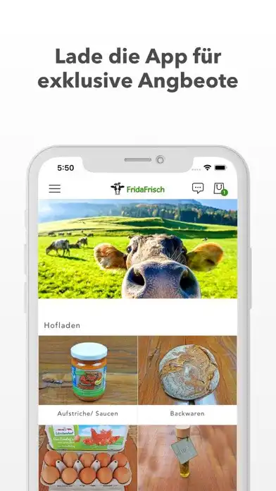 Play FridaFrisch  and enjoy FridaFrisch with UptoPlay