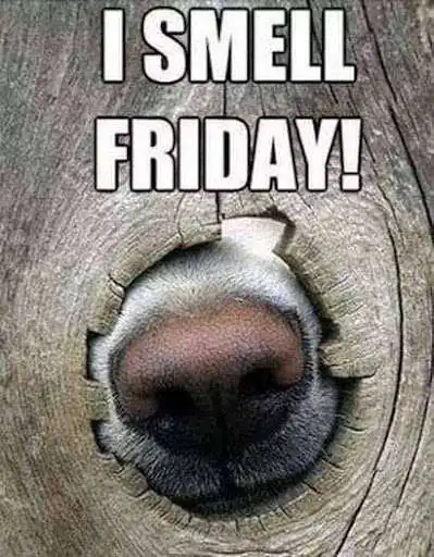 Play Friday Eve-Happy Thursday and enjoy Friday Eve-Happy Thursday with UptoPlay Play Friday Eve-Happy Thursday and enjoy Friday Eve-Happy Thursday with UptoPlay