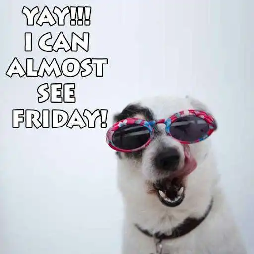 Play Friday Eve-Happy Thursday as an online game online Friday Eve-Happy Thursday with UptoPlay com.lifestylemillennialsapps.fridayevehappythursday Play Friday Eve-Happy Thursday as an online game Friday Eve-Happy Thursday with UptoPlay