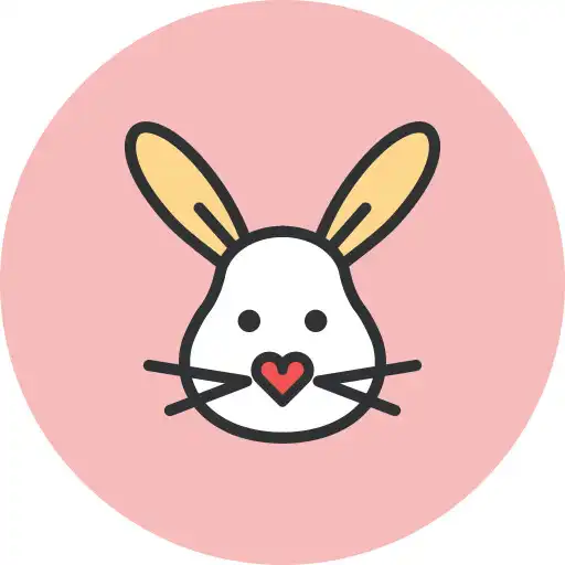 Play Friendly Bunny VPN APK