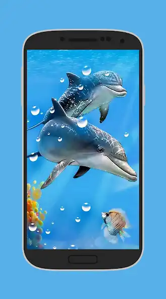 Play Friendly Dolphins Wallpaper  and enjoy Friendly Dolphins Wallpaper with UptoPlay
