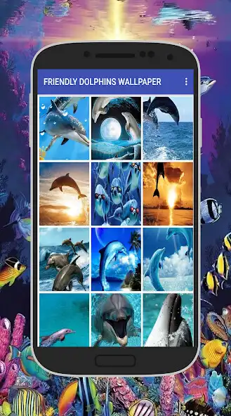 Play Friendly Dolphins Wallpaper as an online game Friendly Dolphins Wallpaper with UptoPlay