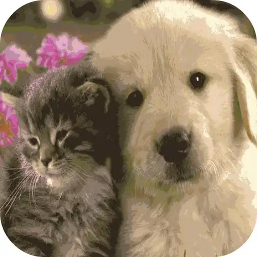 Play Friendship Frames Photo Editor APK