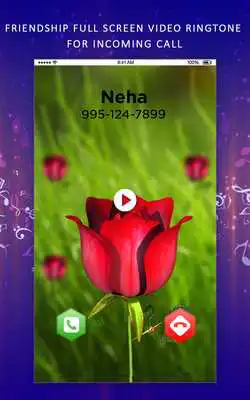Play Friendship Full Screen Video RingtoneIncoming Call