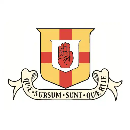 Play Friends School Lisburn APK Play Friends School Lisburn APK