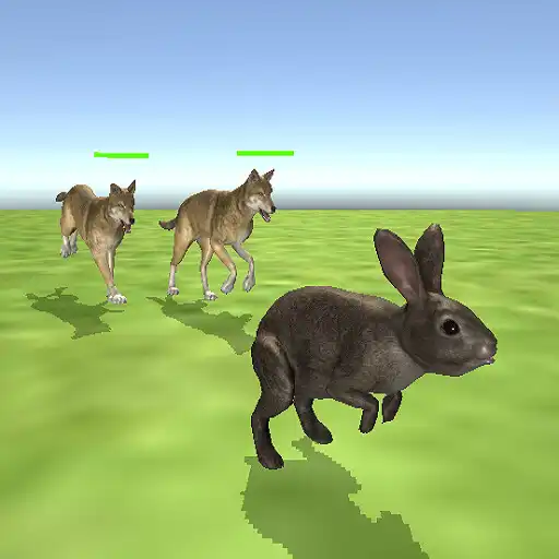 Play Frightened animals 2021 APK