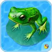 Free play online Frog Anatomy  Life Cycle APK