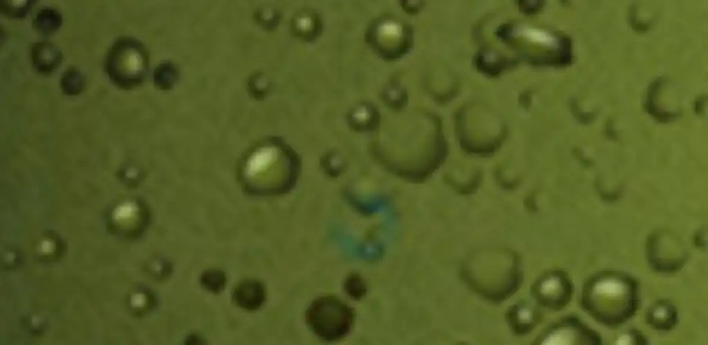 Play Frog Ball and enjoy Frog Ball with UptoPlay Play Frog Ball and enjoy Frog Ball with UptoPlay