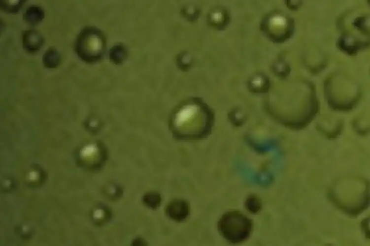 Play Frog Ball as an online game online Frog Ball with UptoPlay Play Frog Ball as an online game Frog Ball with UptoPlay