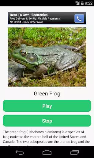 Play Frog Calls Play Frog Calls