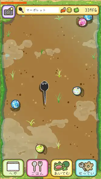 Play frog every day as an online game frog every day with UptoPlay