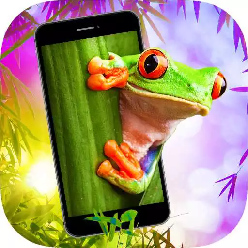 Free play online Frog in Phone - Frog Prank APK Free play online Frog in Phone - Frog Prank APK