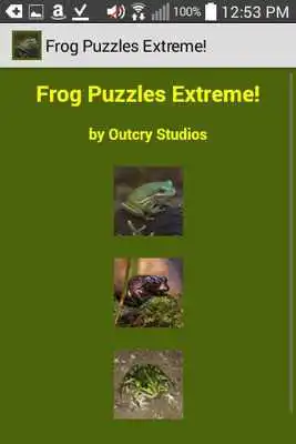 Play Frog Puzzles Extreme!