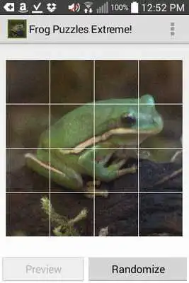 Play Frog Puzzles Extreme!