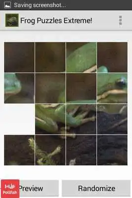 Play Frog Puzzles Extreme!