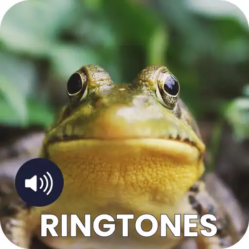 Play Frog Ringtones APK