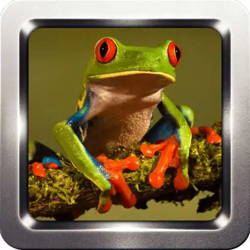 Free play online Frog Sound Collection APK Free play online Frog Sound Collection APK