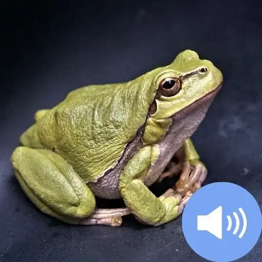 Play Frog Sounds and Wallpapers APK