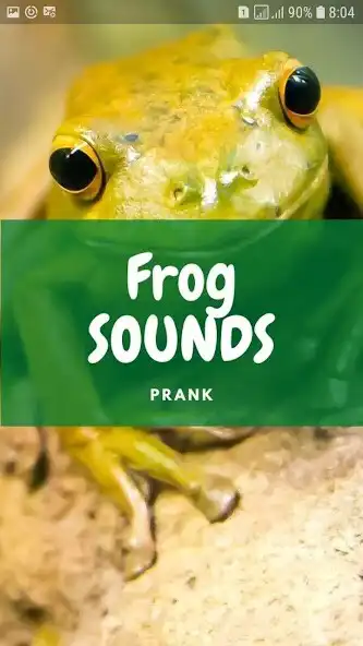 Play Frog Sounds and Wallpapers and enjoy Frog Sounds and Wallpapers with UptoPlay Play Frog Sounds and Wallpapers and enjoy Frog Sounds and Wallpapers with UptoPlay