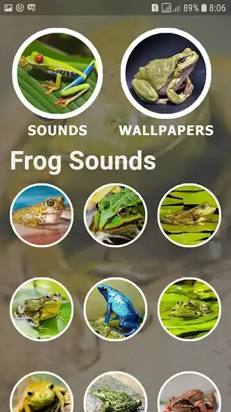 Play Frog Sounds and Wallpapers as an online game online Frog Sounds and Wallpapers with UptoPlay Play Frog Sounds and Wallpapers as an online game Frog Sounds and Wallpapers with UptoPlay